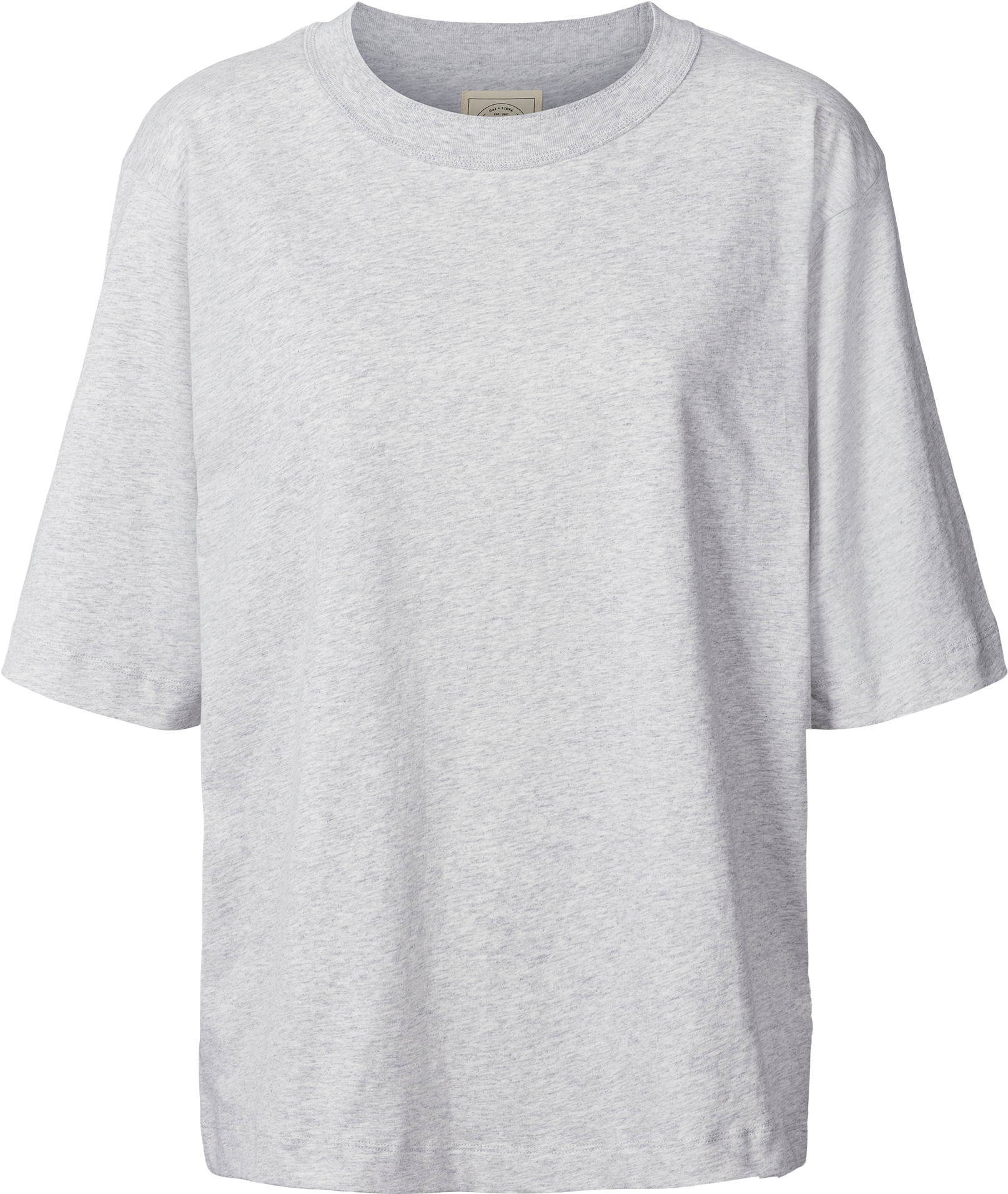 GAI+LISVA Maya Oversize Tee GOTS 243975 Tops & T-shirts 601 Light Grey Melange